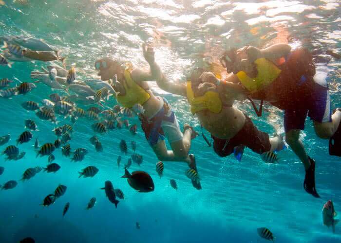 cozumel snorkeling 2 reefs tour