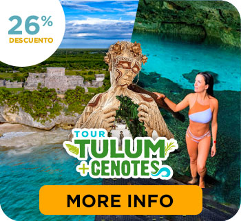 Tulum - Casa Tortuga 4 Cenotes Tour + Giant Sculpture Come into Light