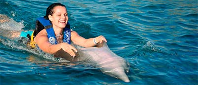 Dolphin Swim Adventure tour in Cozumel - My Cancun Tours