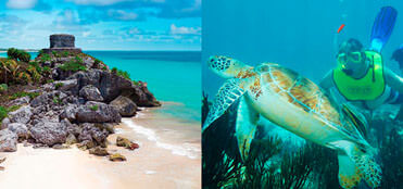 Snorkel with turtles tulum porth en alls wedding