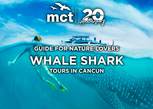 Whale Sharks Cancun-tours-season-and-expeditions